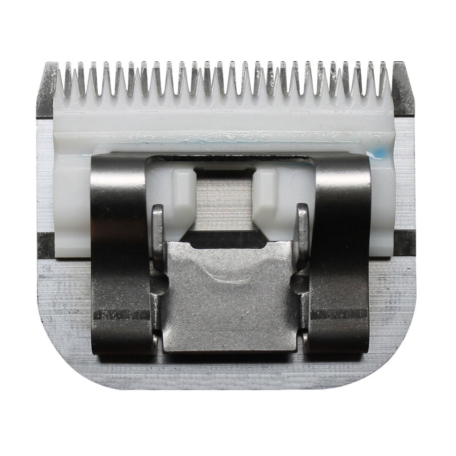 V3H06B97E581E51EF9FD9D4B58C7A265A01R5554766P4