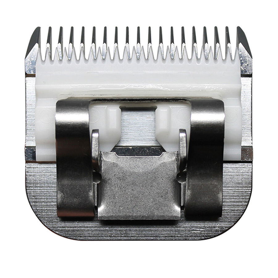 V3H4D7B9585DA488842E331481F72E3F631R5554754P4