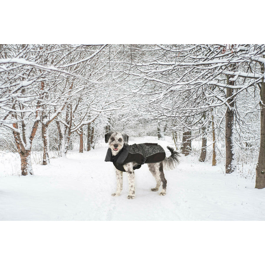 V4H55B00D61FA261EE622B1A2F7EE9BAC94R5332500P8