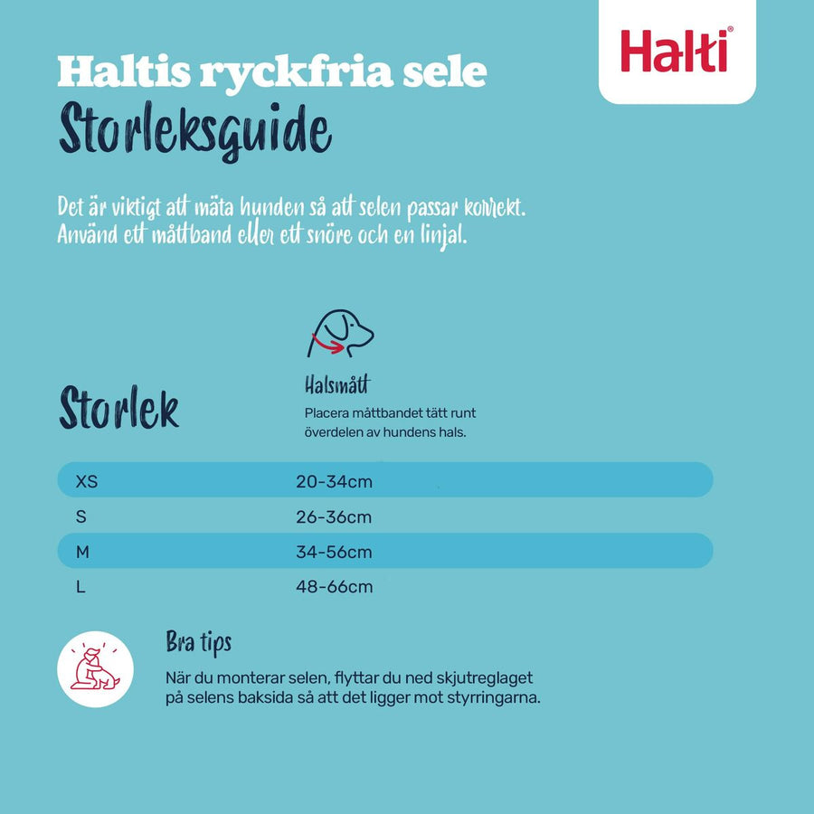 V2H6A2C0DB9F8C9660E3E411D4EF0636B58R7523513P5