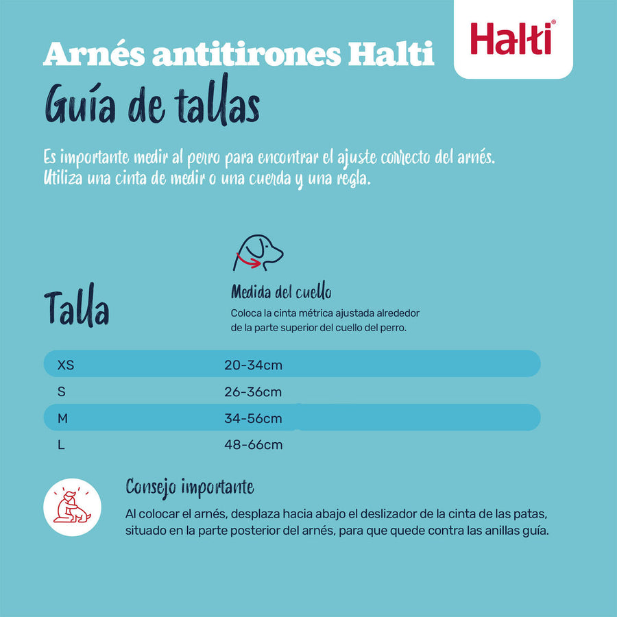 V2H08E2A6652BB5FABD99EFDBE40C9F6945R7523783P10