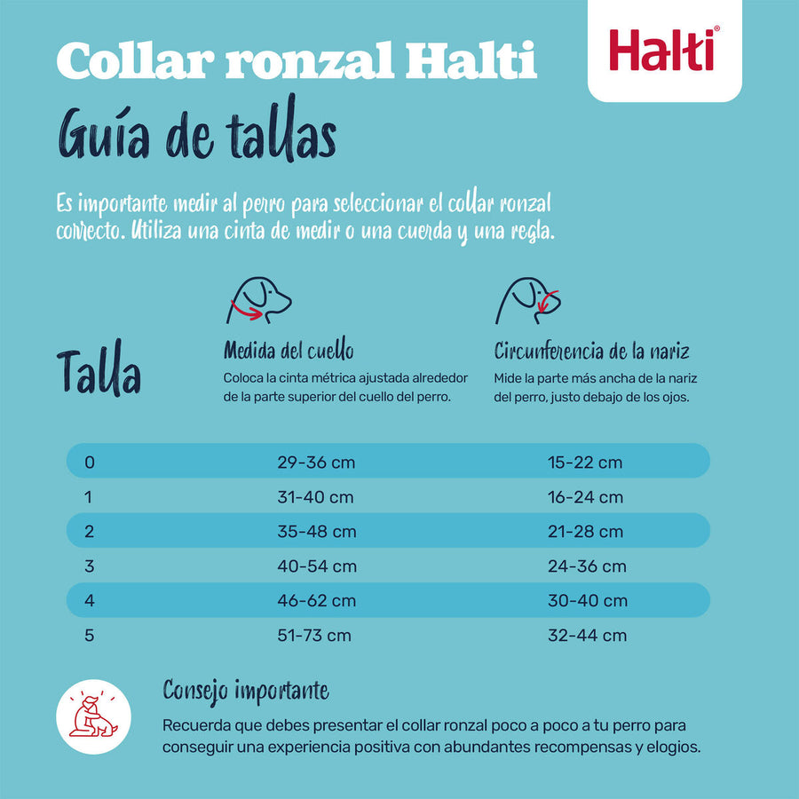 V2H0F58311491433F6004C36C3F6BE36177R7523547P4