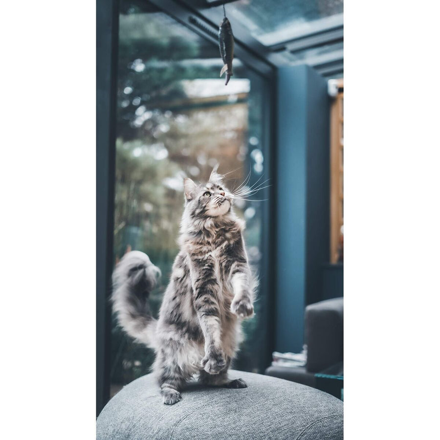 V2HA51003D696C8E1799C28545394E6337ER7436897P8