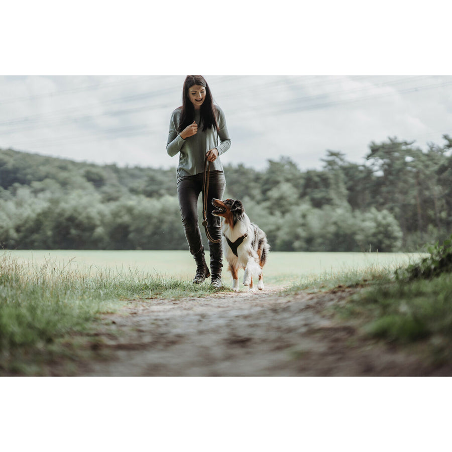 V4HD1689BF7BCC703FA01C2655DE0A13CDDR4393776P4