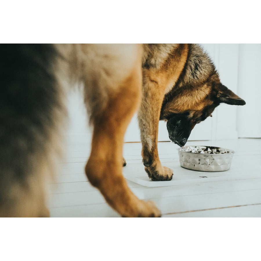 V5H1836F98BE08ECCA75F368AB29BED3073R4438169P5