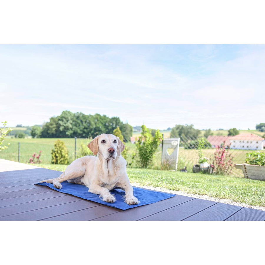 V2HA6BD434E654F349D4D53A58452C0AA31R7467609P4