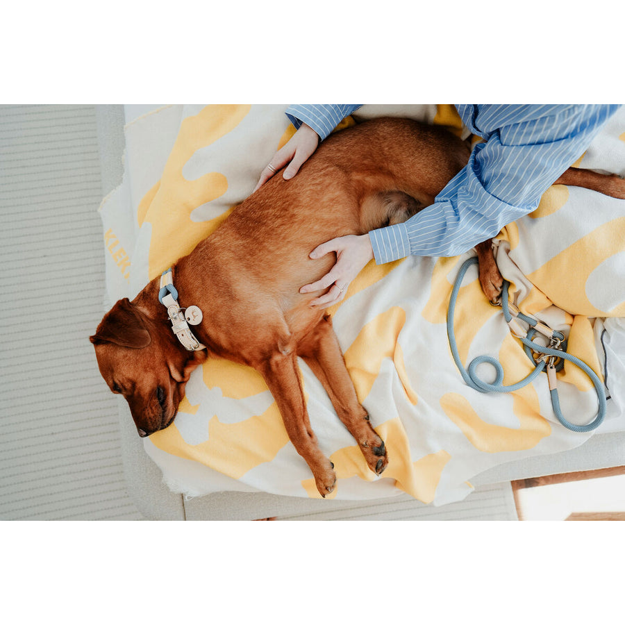 V3H94B02227748DA50F0BE1ED661F79F0C8R5575486P3