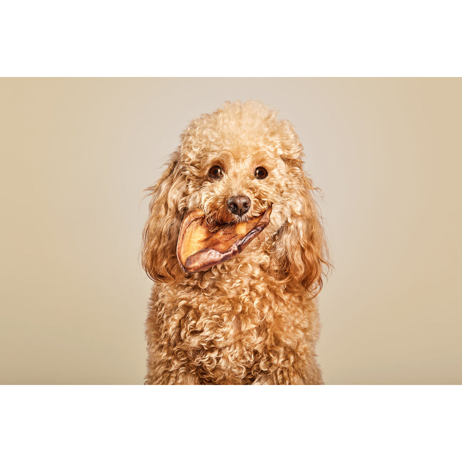 V8HC44D046A0F88FC248D1DA182F6852F9AR6578024P2