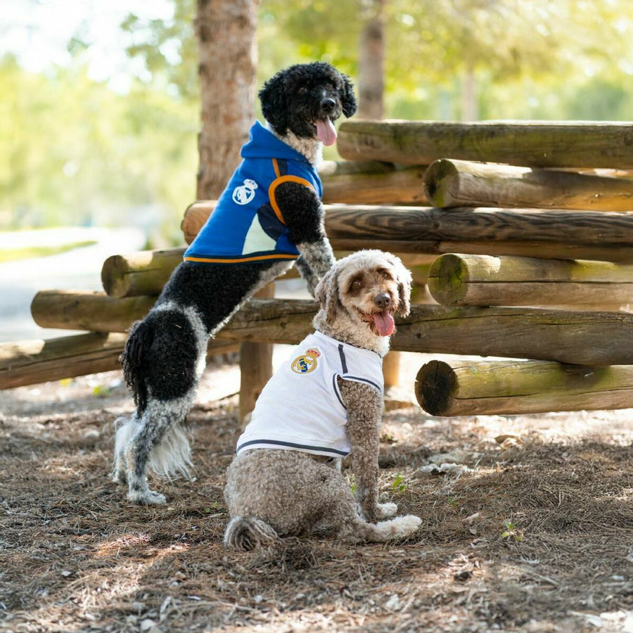 V3HFE05377CDF42F94C3B4F9A7D8A7A2313R6445910P4