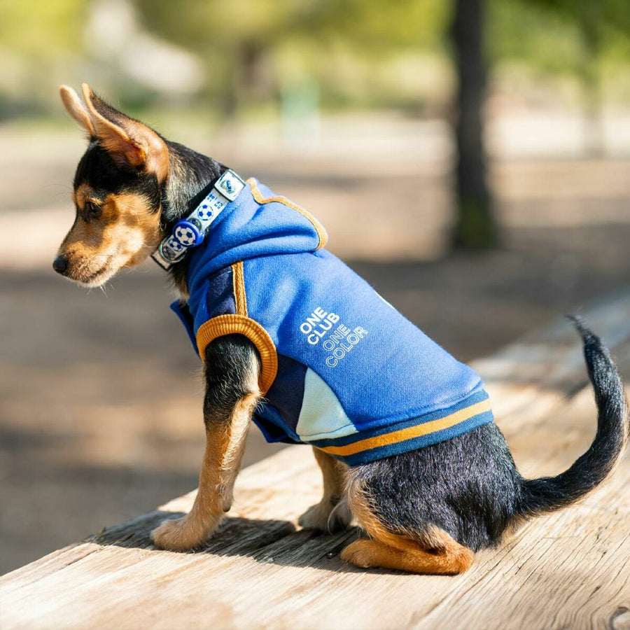 V2H20EA74413FF6906428A17CA69F450FEER7069198P5