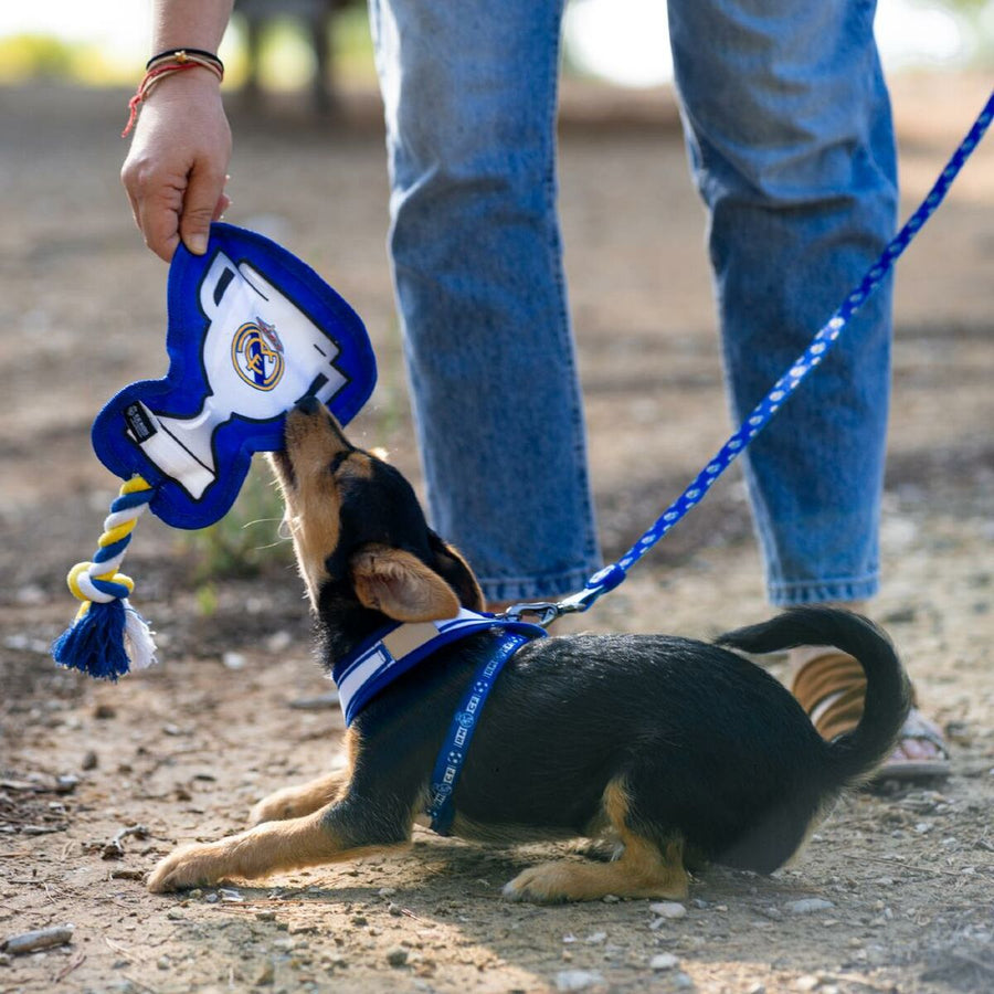 V3H5A2746BA62E44A30C03A061856E9CAD4R6293323P2