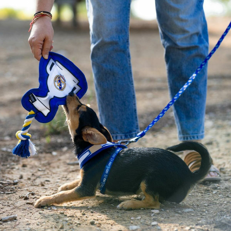 V2H746E14CB120EEE2D9F94E9583D6A1933R6939310P8